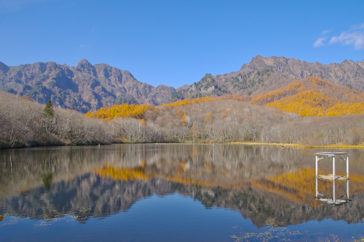 Moonstone tweet media