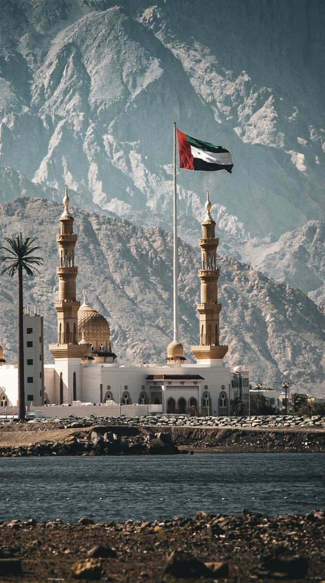 🇦🇪