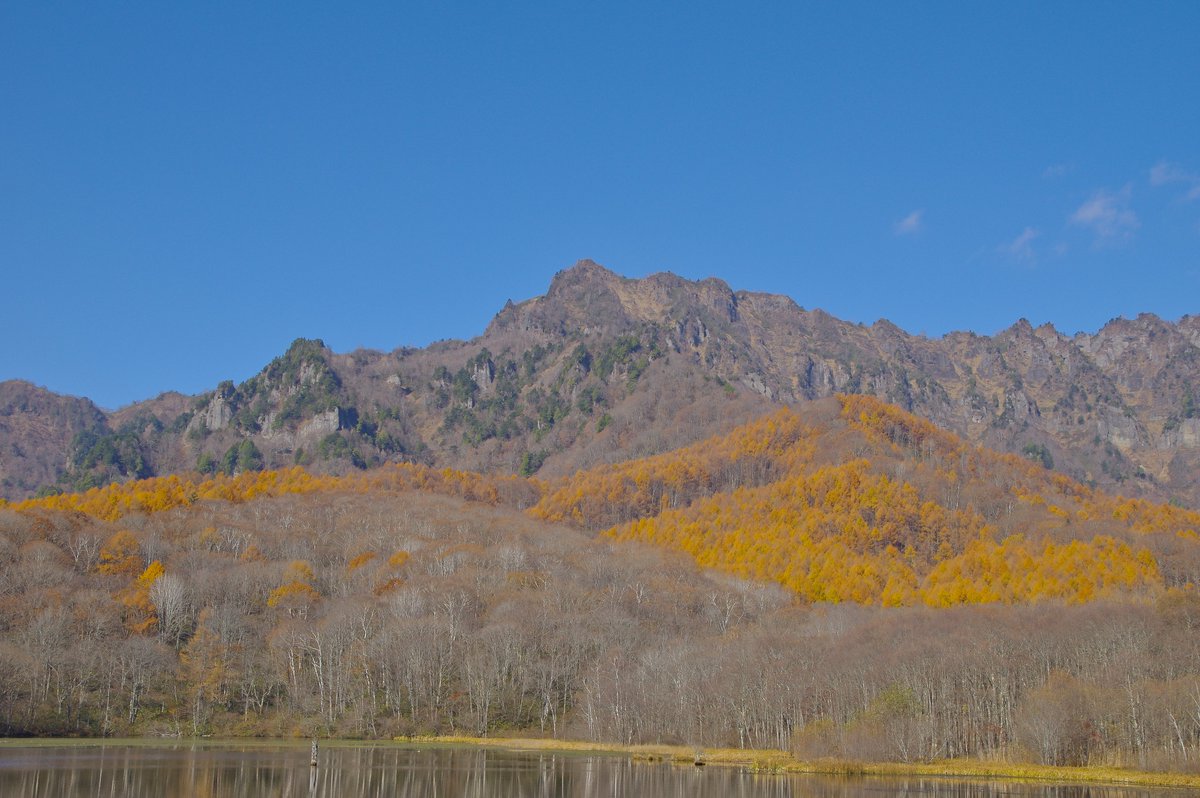 Moonstone tweet media