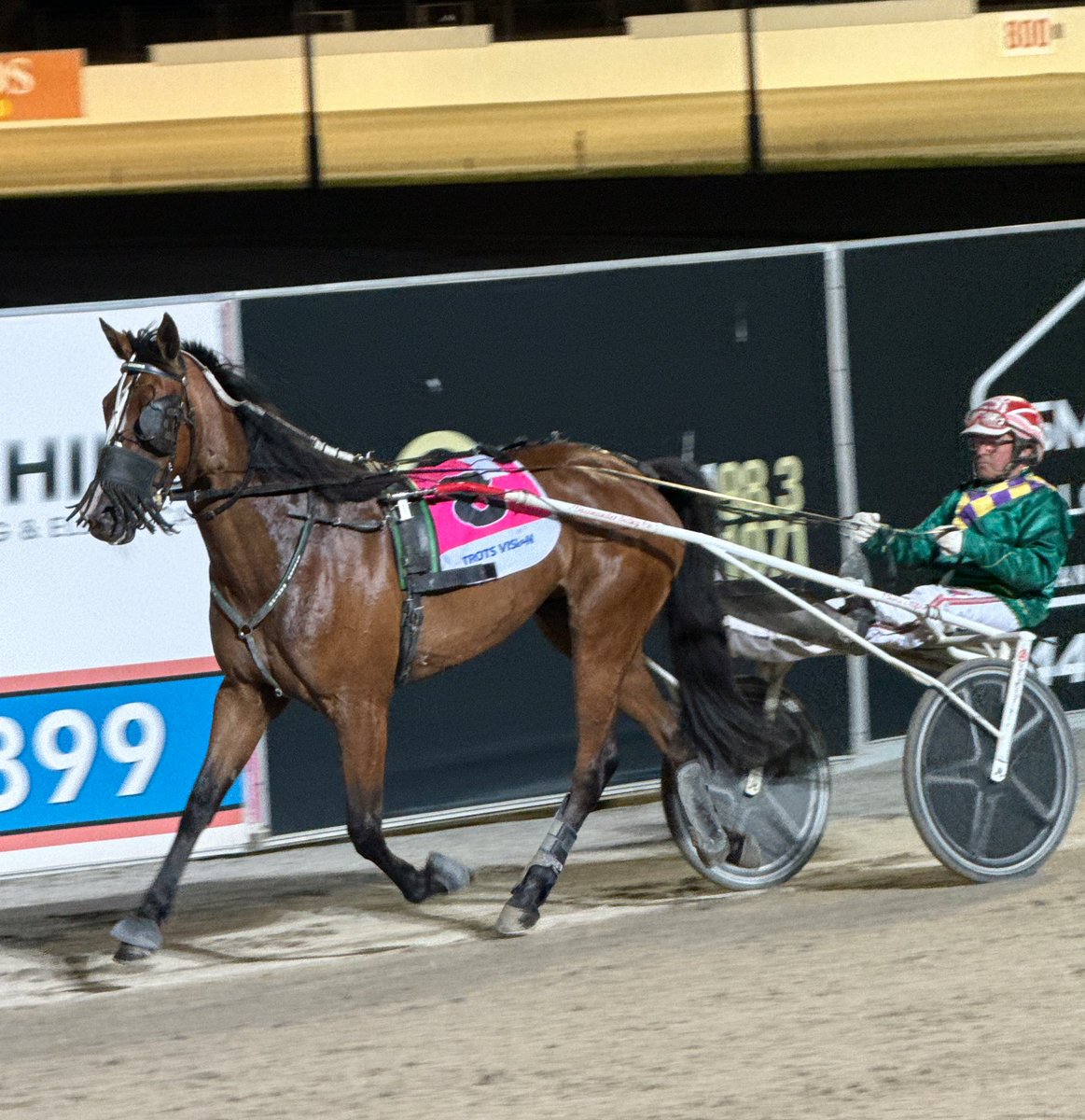 TheTrotsComAu's tweet photo. The final event on Lang memorial night at @BendigoTrots, the Save Our Pennys Trot has been taken out by the Brent Lilley-trained and Chris Alford-driven Frosty Girl. 🕊️ https://t.co/D8yp9FEzZL