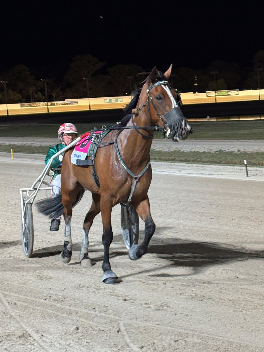 TheTrotsComAu's tweet photo. The final event on Lang memorial night at @BendigoTrots, the Save Our Pennys Trot has been taken out by the Brent Lilley-trained and Chris Alford-driven Frosty Girl. 🕊️ https://t.co/D8yp9FEzZL