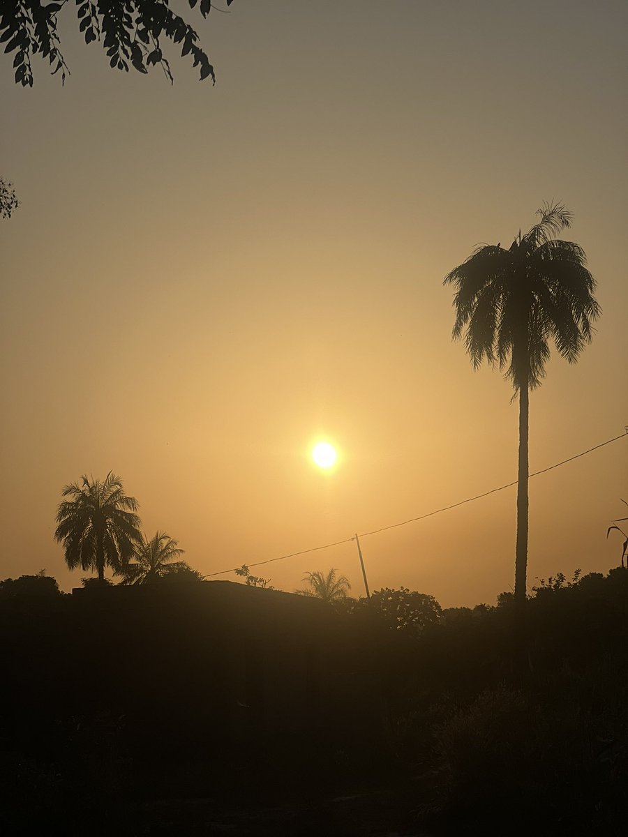 Beautiful Sunset 🌅