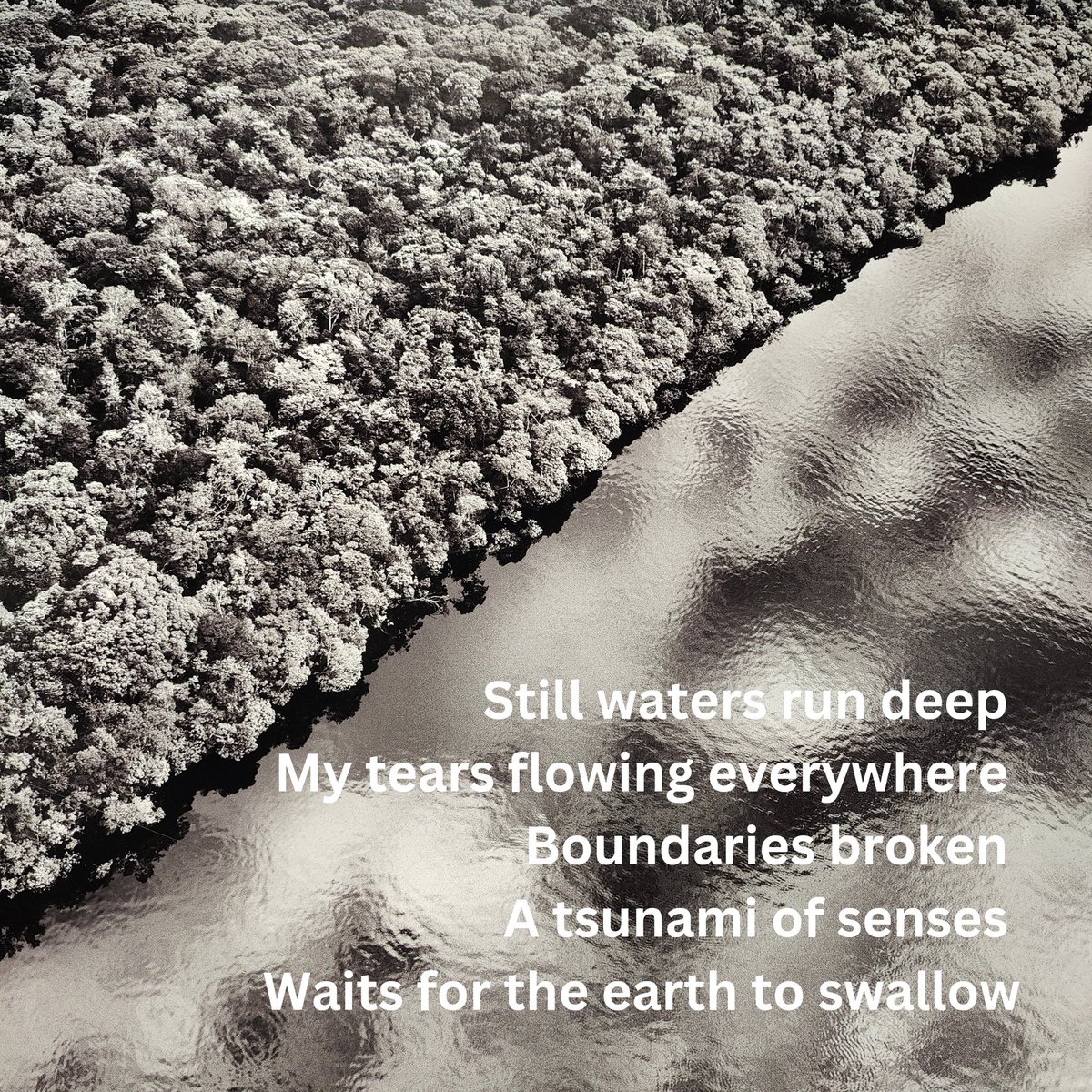 Bababelachan's tweet photo. Still waters run deep 
My tears flowing everywhere 
Boundaries broken 
A tsunami of senses 
Waits for the earth to swallow
#tanka #poem #poetrycommunity #poetrylovers #poetryislife https://t.co/1iinAnYLMN