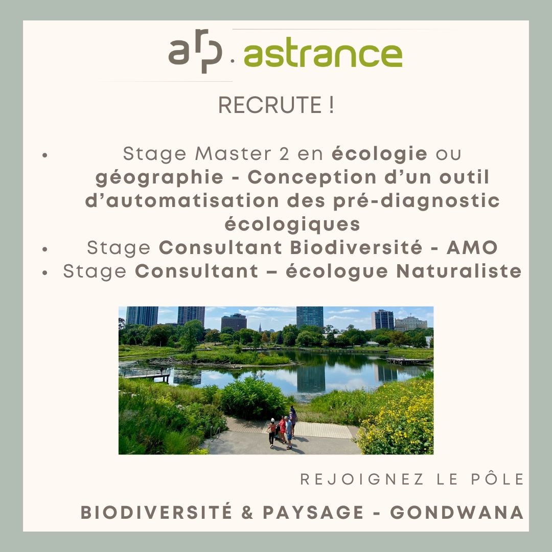 [ 📢 RECRUTEMENT ]

ARP Astrance est à la recherche d'un.e :
🌱 Stagiaire Master 2 en écologie ou géographie - Conception d’un outil d’automatisation des pré-diagnostic écologiques
🌱 Stagiaire Consultant Biodiversité - AMO
🌱 Stagiaire Consultant – Écologue Naturaliste