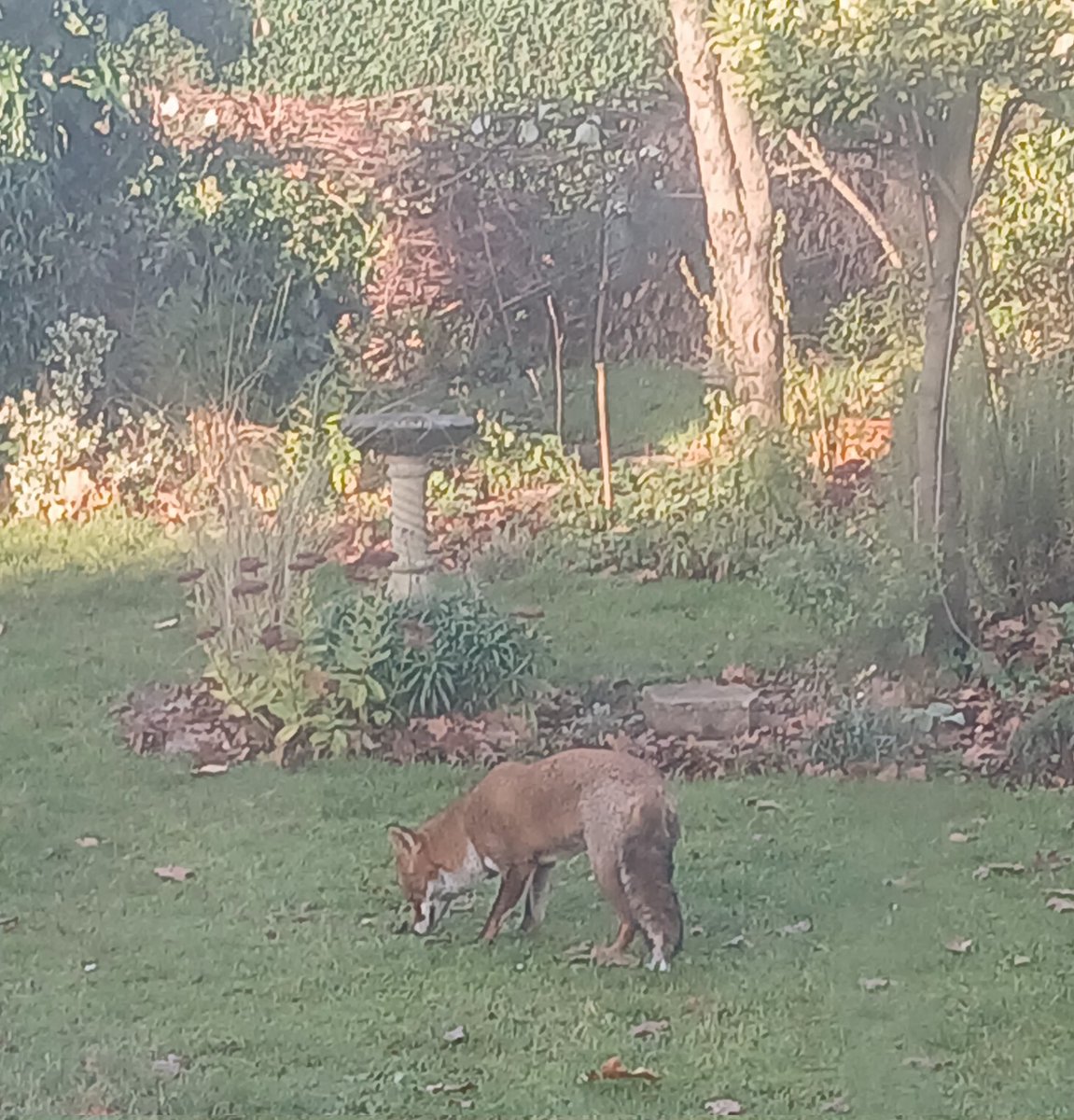 🗿📡🌱🫛🚴‍♂️David🏴󠁧󠁢󠁷󠁬󠁳󠁿 tweet media