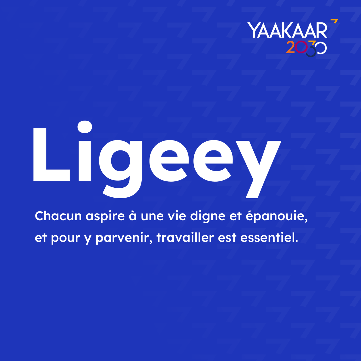 Consortium Jeunesse Sénégal tweet media