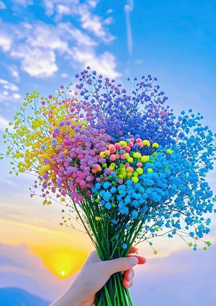 SAHAM (@shbchyh86239) on Twitter photo 