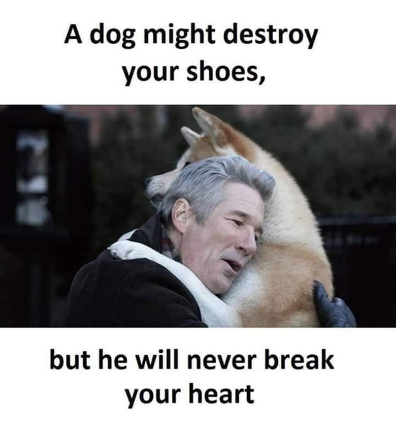 The Dalbo Dog tweet media