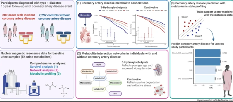 FinnDiane Study (@finndianestudy) on Twitter photo Urinary metabolites such as xanthosine, 3-hydroxyisobutyrate, trans-aconitate and 4-deoxythreonate predict future coronary artery disease in individuals with type 1 diabetes doi.org/10.1186/s12933… <a href="/FolkhalsanRC/">Folkhälsan Research Center</a> <a href="/HelsinkiUniMed/">Medicine and Health, University of Helsinki</a> Urinary metabolites such as xanthosine, 3-hydroxyisobutyrate, trans-aconitate and 4-deoxythreonate predict future coronary artery disease in individuals with type 1 diabetes doi.org/10.1186/s12933… <a href="/FolkhalsanRC/">Folkhälsan Research Center</a> <a href="/HelsinkiUniMed/">Medicine and Health, University of Helsinki</a>