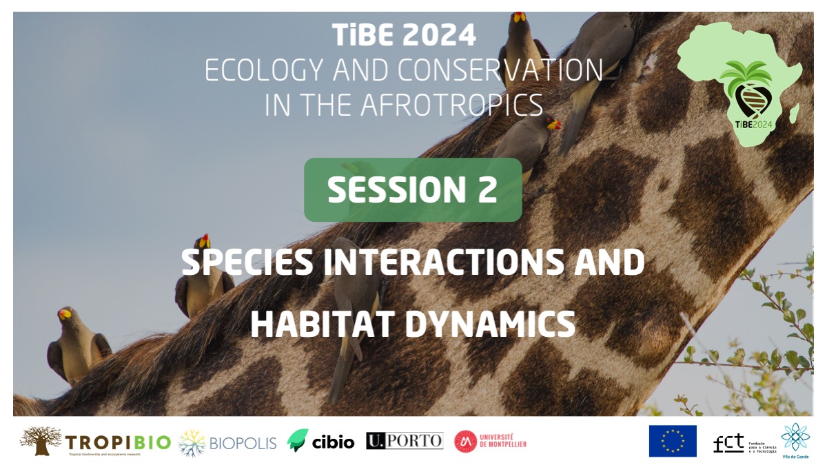 Looking forward to #TiBE2024 Session 2, where we'll dive into the fascinating ways species interact, shape ecosystems, and the dynamics of habitats🌿

More here: tibe.biopolis.pt/detailed-progr…