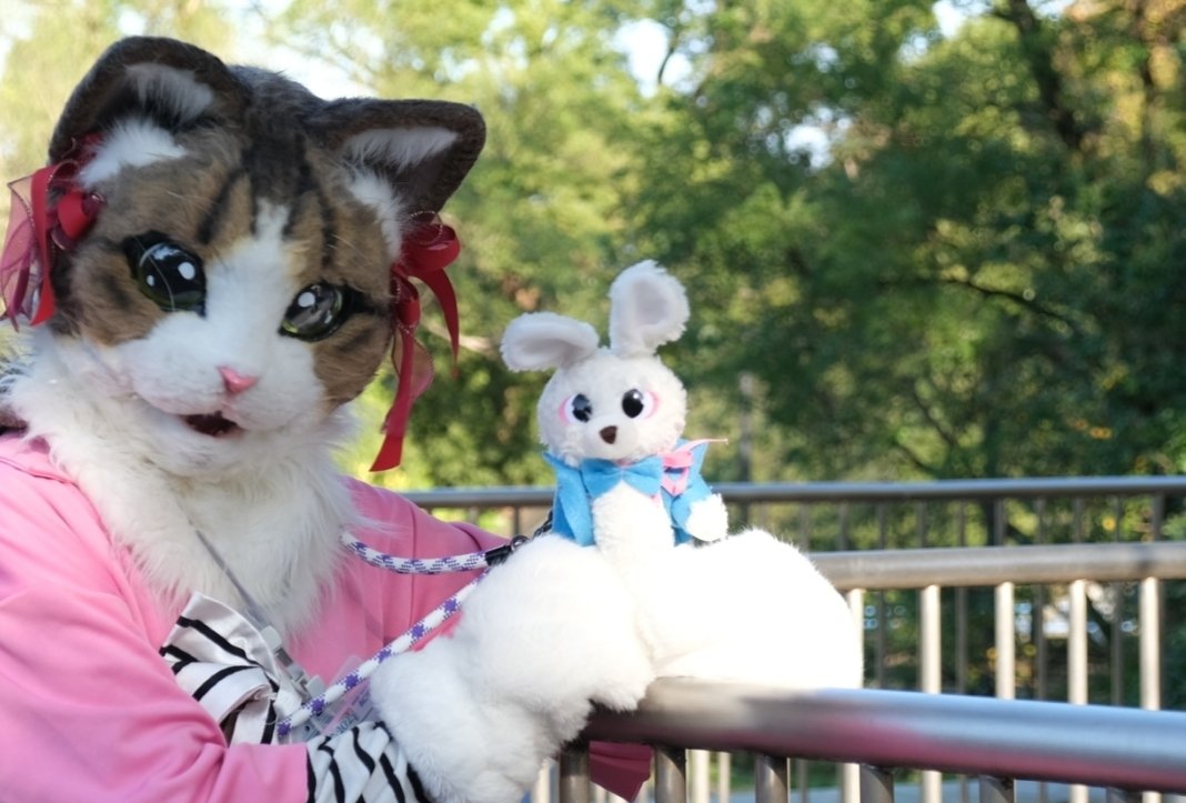alii_ciao's tweet image. アリィのタカラモノ
タックのぬいぐるみ♡

#ショッコラン
#アリィ
#タック
#猫
#うさぎ
#ぬいぐるみ