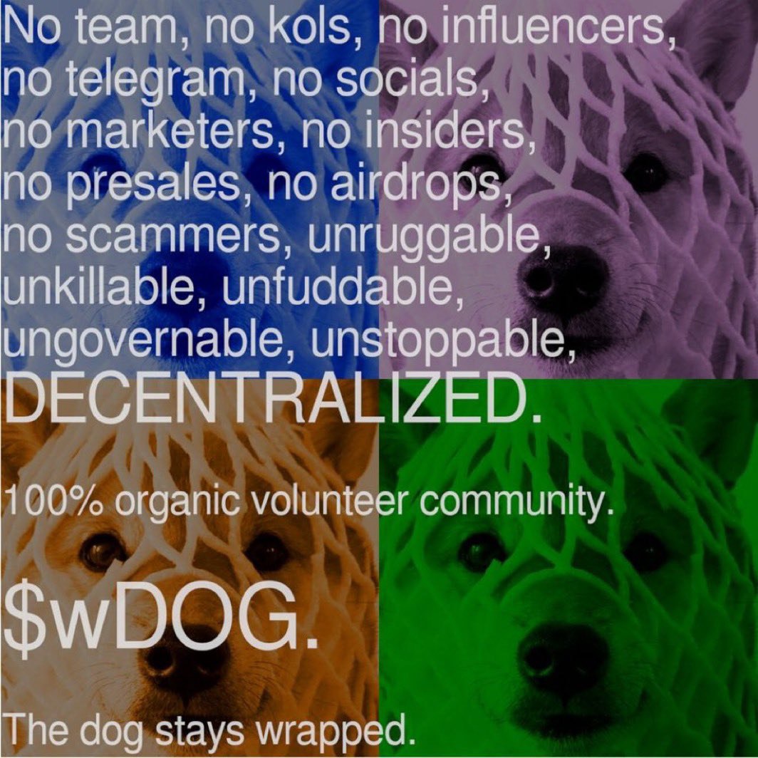MariusCapital's tweet photo. I bought and am extremely bullish on the most decentralized and community owned memecoin $wDog.
-> I heard #Binance lists communities instead of tickers. $wDog is purely community owned ✅, No team, no socials and no paid Kols. The community remains active and bullish regardless of price 🐂📈.
-> $wDog is the #BTC of memes and the true meaning of decentration. The dog 🐶 stays wrapped 🕸️.
CA: GYKmdfcUmZVrqfcH1g579BGjuzSRijj3LBuwv79rpump
My target 👉 0.01, 0.1 & $1 
#NFA #DYOR #LFG 🚀