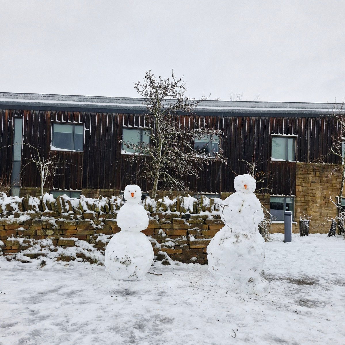 Meet our new seasonal rangers, Frostius Maximus and Sillcelia Snow, who helped clear the snowy paths at The Sill recently. Unfortunately, they did not last long in their new roles and melted under the pressure, but their hard work was much appreciated.