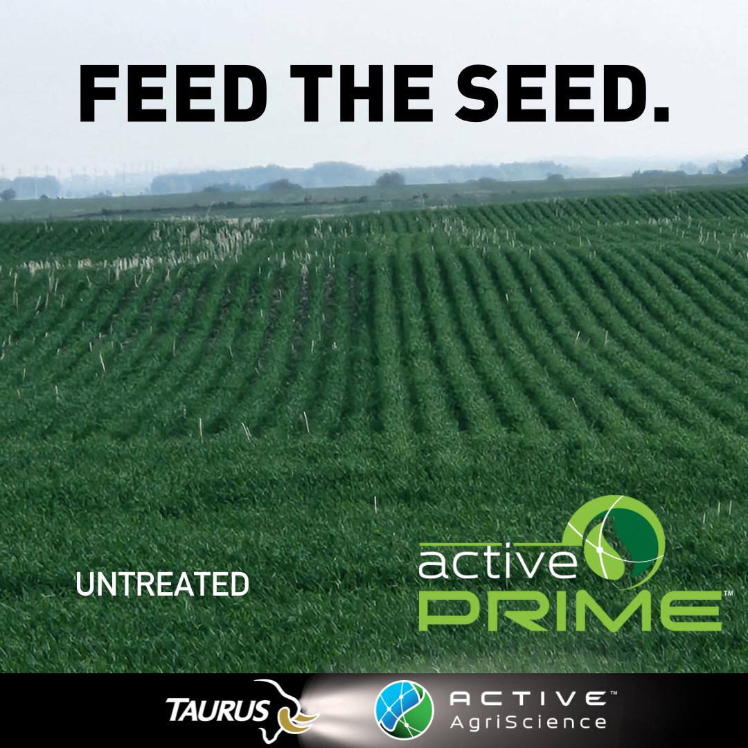 Active PRIME® gives every seed the essential nutrients it needs to thrive before it even taps into your starter blend. See the difference: taller, more robust crops where Active PRIME® was applied on seeds before planting. It’s not just a treatment—it’s a head start for your