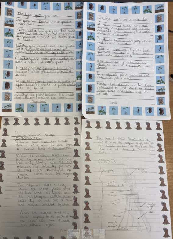 latimerprimary's tweet photo. #3JK #LatimerWriting #LatimerGeography Today the class wrote up their final version of their explanation texts: The Life Cycle of a Bean and Why Do Volcanoes Erupt? https://t.co/agwWcHmf37