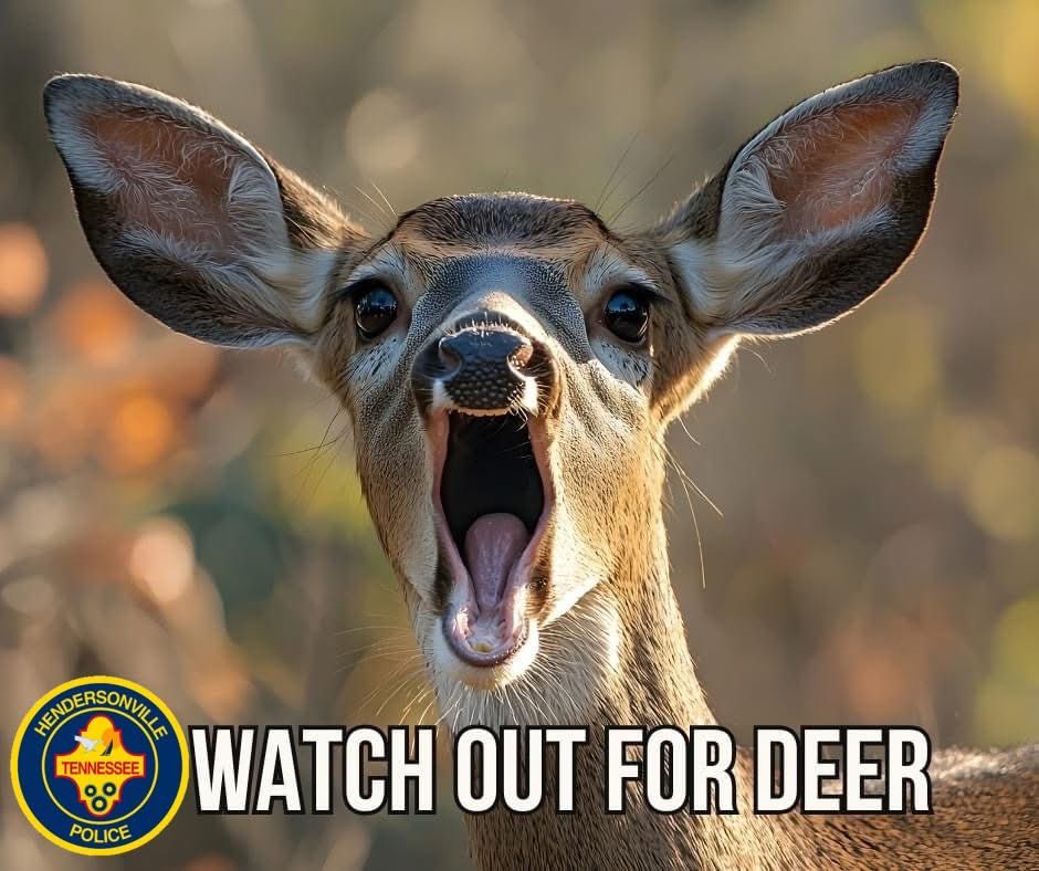 Hendersonville,TN Police Department tweet media