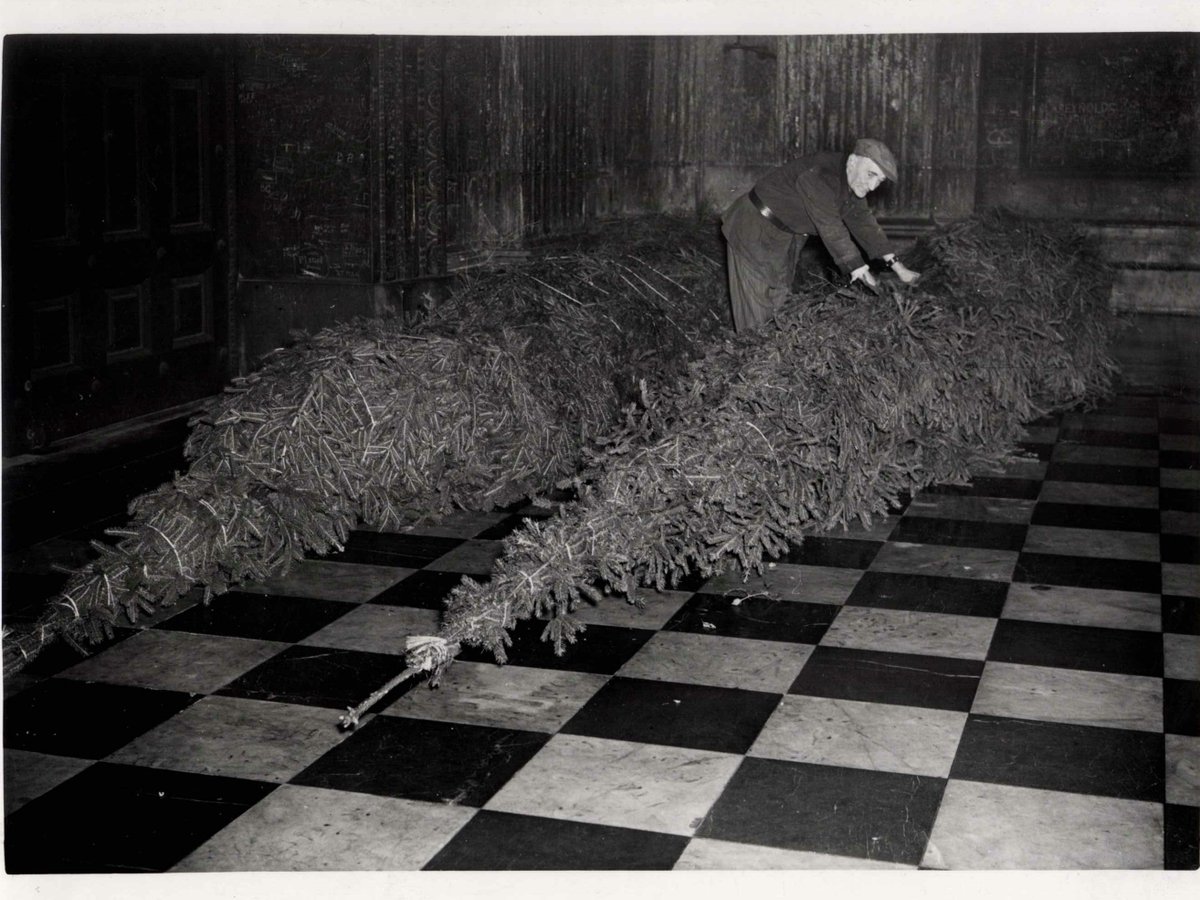 #Advent is just around the corner, and our #ChristmasTrees are going up this week! 🎄 Before we share this year’s trees, we’ve taken a trip down memory lane. Here’s a glimpse of our stunning trees from 1950.