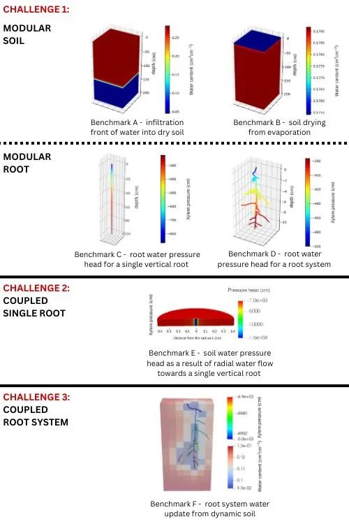 insilicoplants's tweet image. Five Root Models Compete in Benchmarking Challenge
📰 Story: buff.ly/4foIaRZ via @botanyone
🔬 Research: buff.ly/4fqcQSR from @infotroph @BenjaminDelory @MaJavx @deepanshuk22 @timokoch_ 
#CPlantBox #OpenSimRoot #PhenoRob #FSPM #PlantScience 🧪