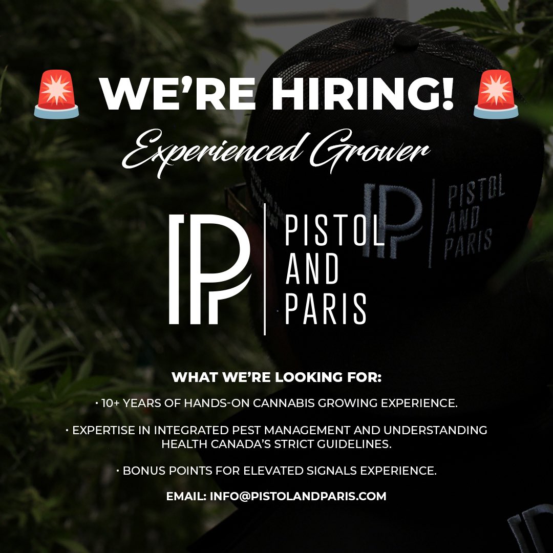 Is it you we are looking for? 

10+ years growing experience
Expertise in IPM and HC Guidelines 
Elevated Signals experience helpful! 

Please send your resume to 
info@pistolandparis.com