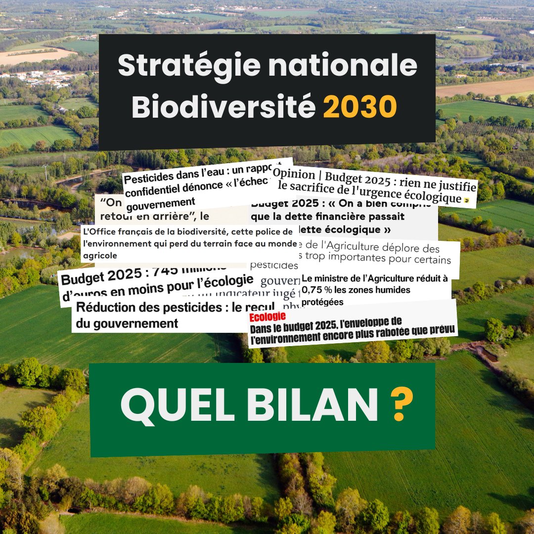 SNPN_nature's tweet photo. Stratégie nationale biodiversité 2030 : 𝗶𝗹 𝘆 𝗮 𝗰𝗲 𝗾𝘂𝗲 𝗹𝗲 𝗴𝗼𝘂𝘃𝗲𝗿𝗻𝗲𝗺𝗲𝗻𝘁 𝗱𝗶𝘁, 𝗶𝗹 𝘆 𝗮 𝗰𝗲 𝗾𝘂𝗲 𝗹𝗲 𝗴𝗼𝘂𝘃𝗲𝗿𝗻𝗲𝗺𝗲𝗻𝘁 𝗳𝗮𝗶𝘁...

Un an après son lancement, la SNB souffle sa 1ère bougie. Une question s'impose : y a-t-il matière à cél��brer ?🧐 https://t.co/WgAHtnYbrw