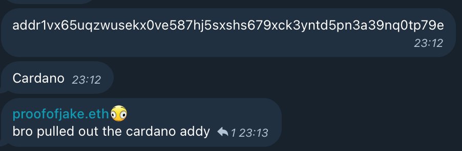 someone just dropped a cardano address in the group chat

what stage of the bull market is this