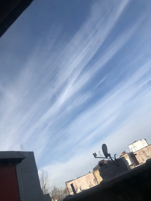 DadsForHonesty's tweet image. NYC today
More massive spraying
More Globalist Death Cult
To kill you and your family
For them and their family
We will take all their wealth
All
And prosecute
All
For Genocide
You will never escape us
Nor your family
We KNOW now
All of you
All families