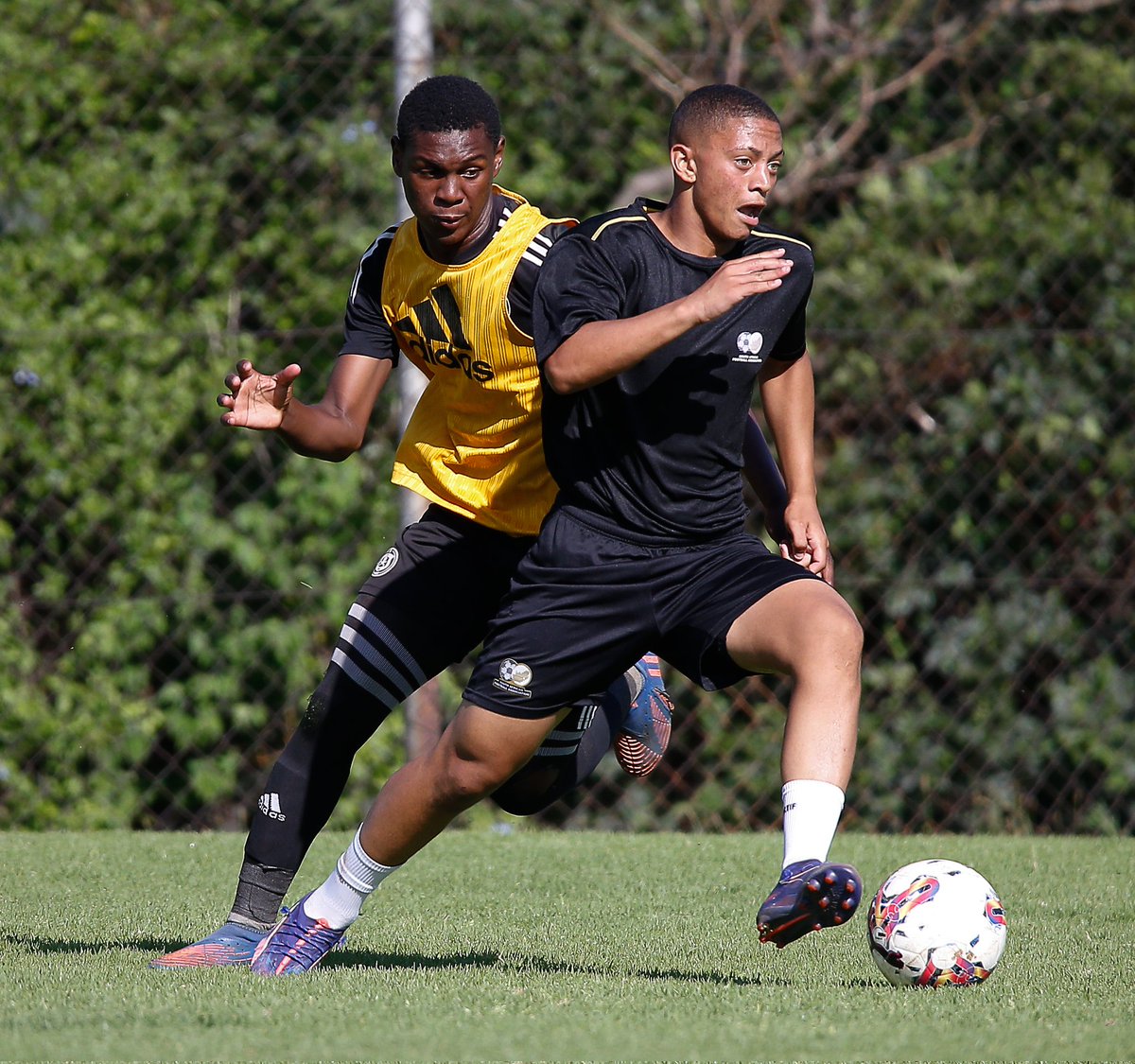 SAFA.net tweet media