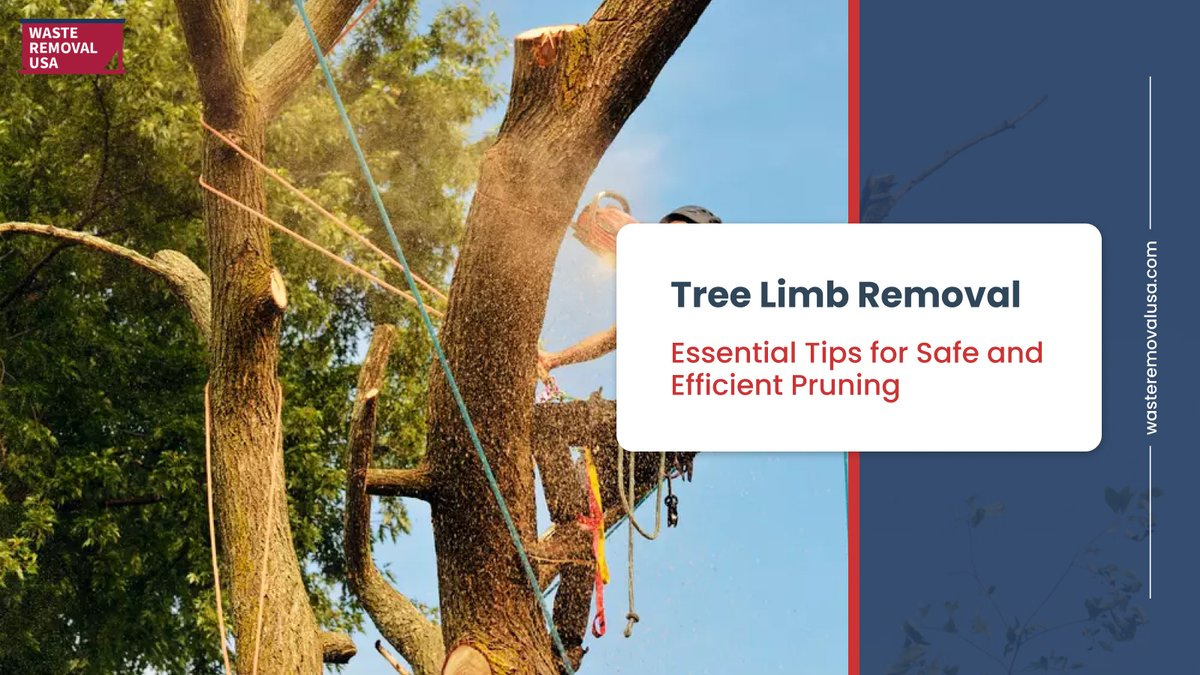waste_usa's tweet image. Tree limb removal is a critical task for maintaining the health and appearance of your trees, as well as ensuring the safety of your property.

Learn more: wasteremovalusa.com/blog/tree-limb…

#treetrimming #treetrimmer #treetrim #trees #treeremoval #homesafety #homesafetytips #landscaping