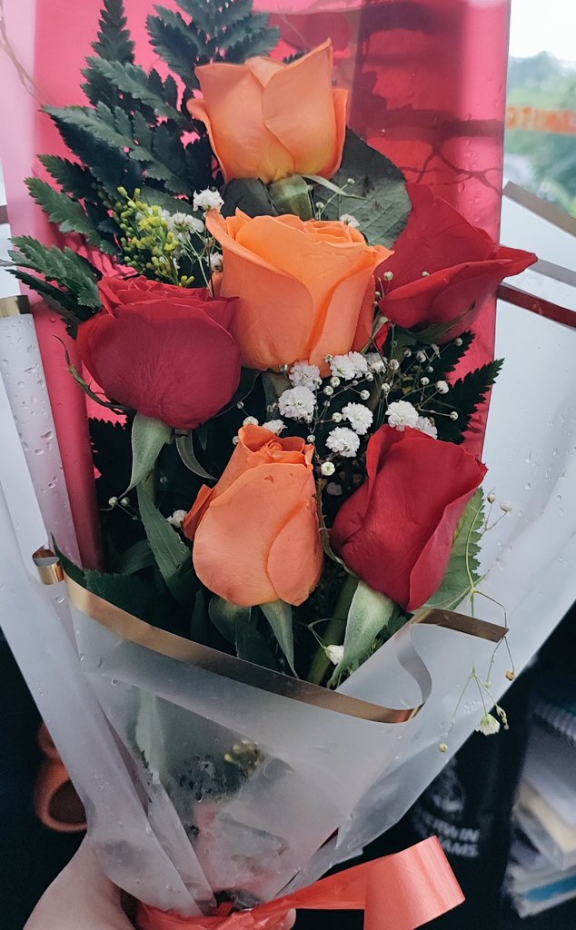 Amooooooooooo, me encantan! 🥰😍❤️