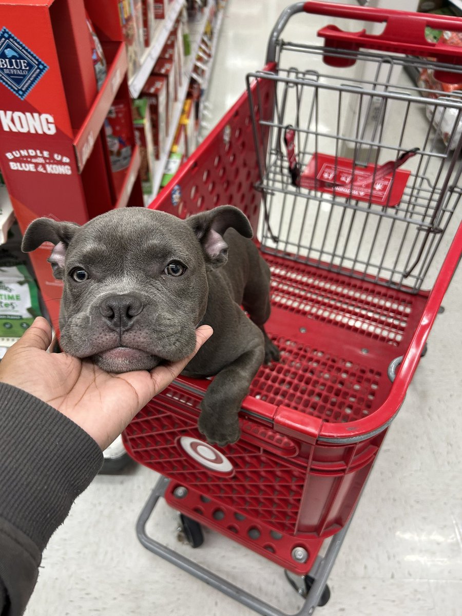I take my dog everywhere IDC 🤣💕💕