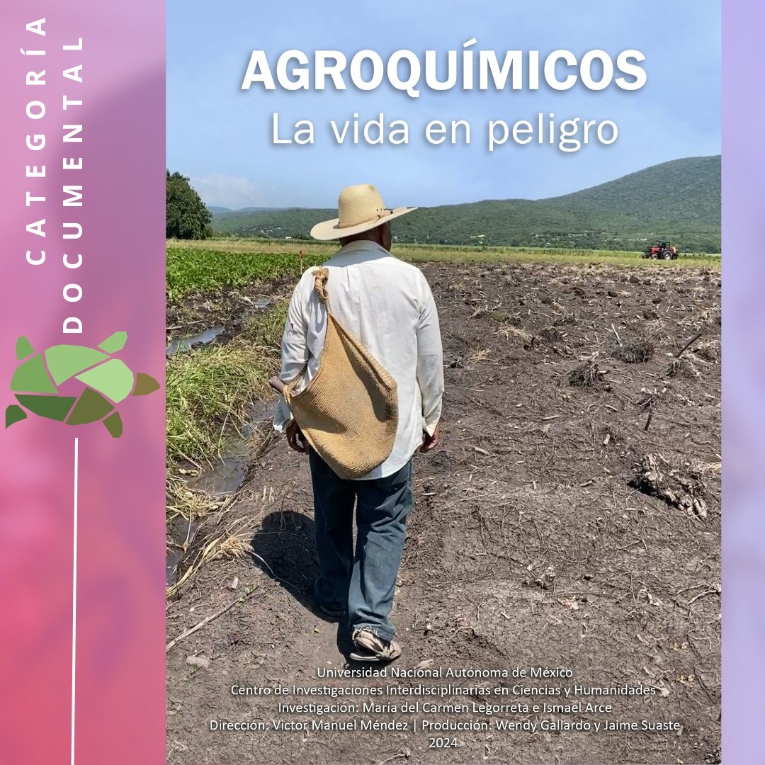 CINECO Festival Internacional de Cine y Ecología tweet media