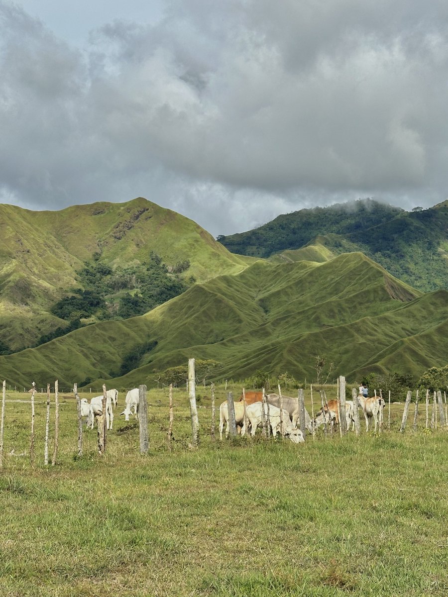 forsheep_'s tweet photo. Bukidnon, you are magnificent. https://t.co/XrsOntp2fT