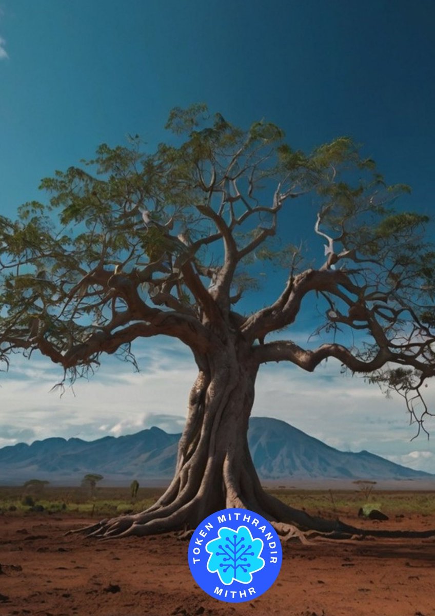 Token Mithrandir SAS tweet media