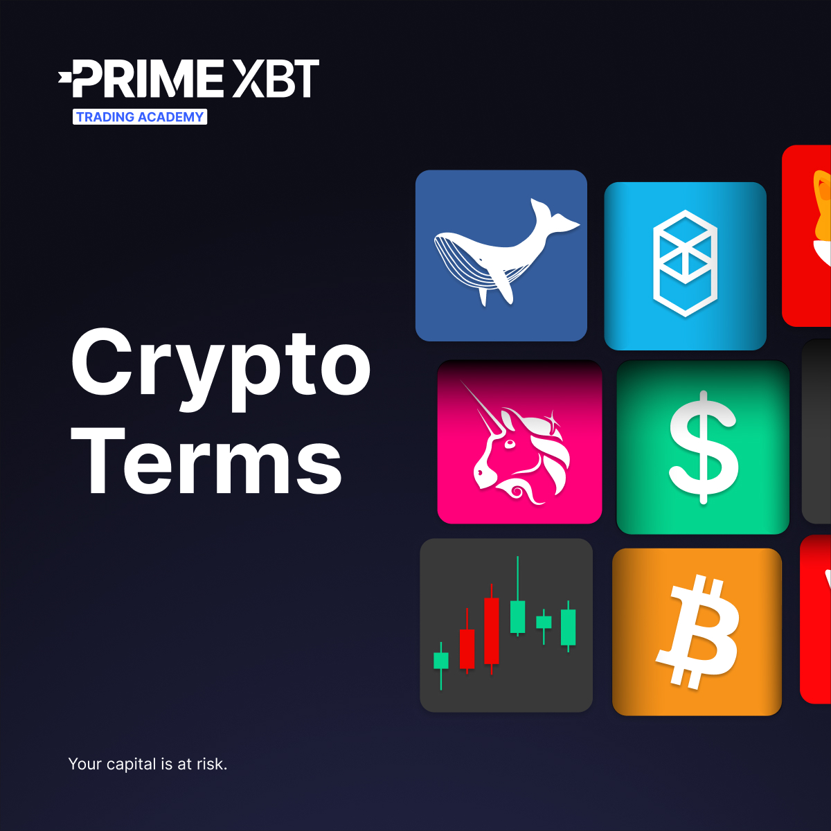 SuperEasy Ways To Learn Everything About Get PrimeXBT Promo Code