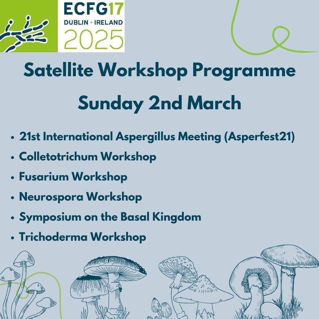 ECFG17Dublin's tweet image. Don't forget that there will be a wide range of workshops taking place on Sunday 2nd March!
Best rates for each workshop as well as conference registration are available through the registration portal. Super Early Deadline 6th December!
ecfg17.org/ecfg17-satelli…
#ECFG17
