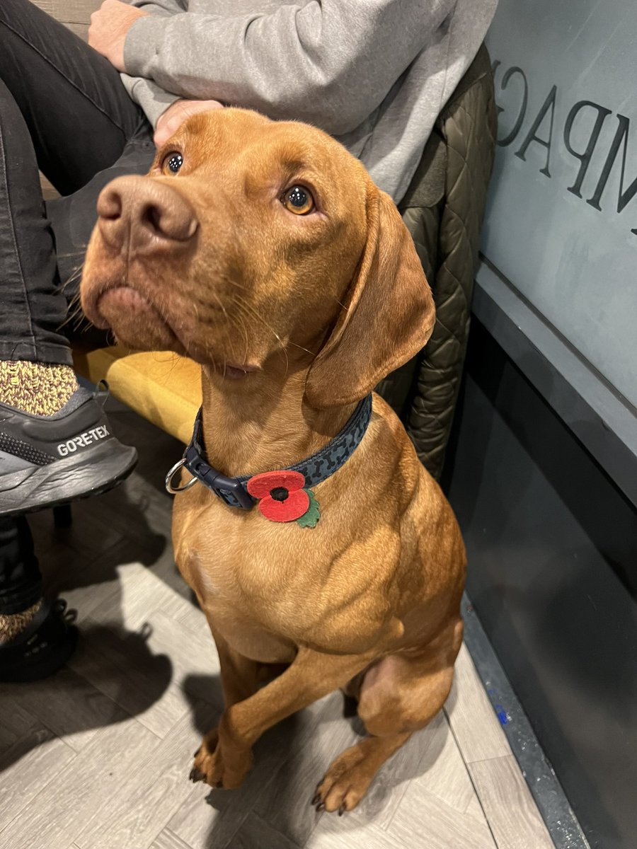 Can’t deal with this guy