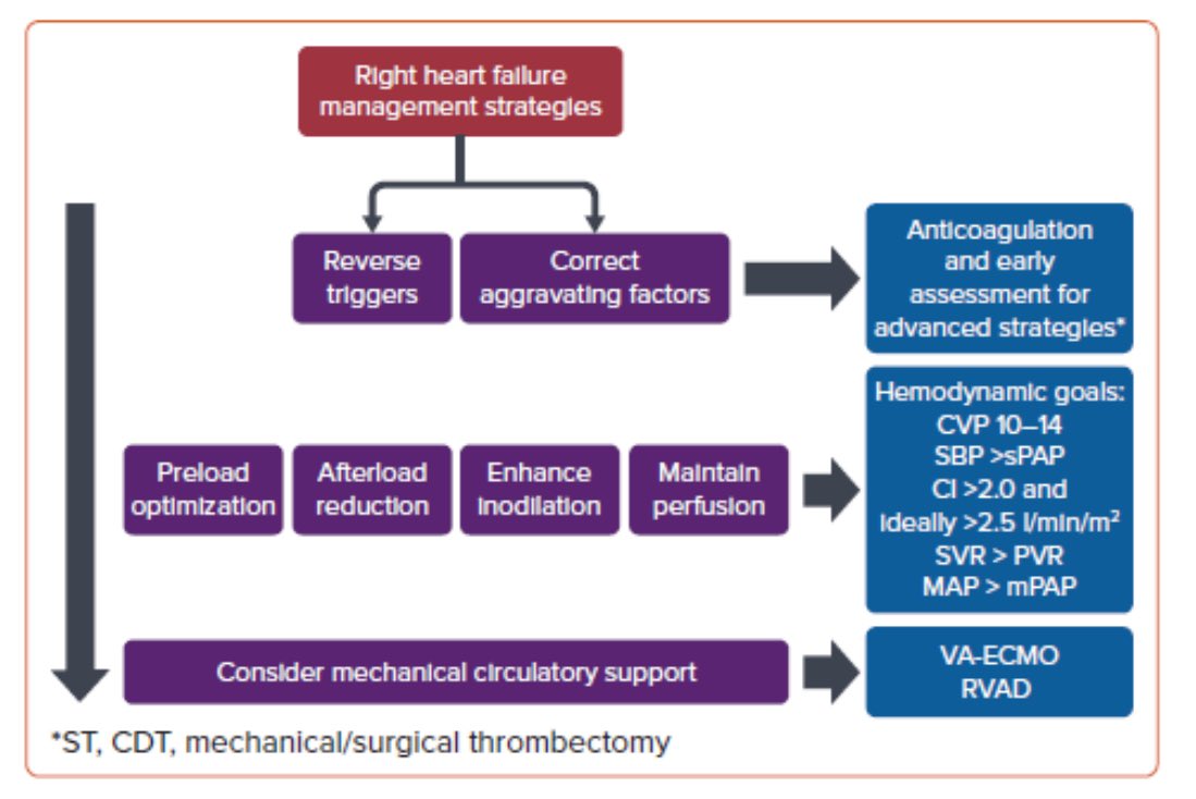Nazli Okumus (@nazliokumus) on Twitter photo Thrilled to share our paper about Critical Care Management of Acute VTE is published in <a href="/radcliffeCARDIO/">Radcliffe Cardiology</a>
A huge thank you to the amazing team of co-authors <a href="/jameshorowitzmd/">James Horowitz</a> <a href="/CardsNYC/">Eugene Yuriditsky</a>
#MikeSolomon #AshleyPark
bit.ly/3CQNlM8
<a href="/AmitGoyalMD/">Amit Goyal MD MAS</a> <a href="/CardioNerds/">CardioNerds</a> <a href="/AdnanKhalifMD/">Ak</a> Thrilled to share our paper about Critical Care Management of Acute VTE is published in <a href="/radcliffeCARDIO/">Radcliffe Cardiology</a>
A huge thank you to the amazing team of co-authors <a href="/jameshorowitzmd/">James Horowitz</a> <a href="/CardsNYC/">Eugene Yuriditsky</a>
#MikeSolomon #AshleyPark
bit.ly/3CQNlM8
<a href="/AmitGoyalMD/">Amit Goyal MD MAS</a> <a href="/CardioNerds/">CardioNerds</a> <a href="/AdnanKhalifMD/">Ak</a>