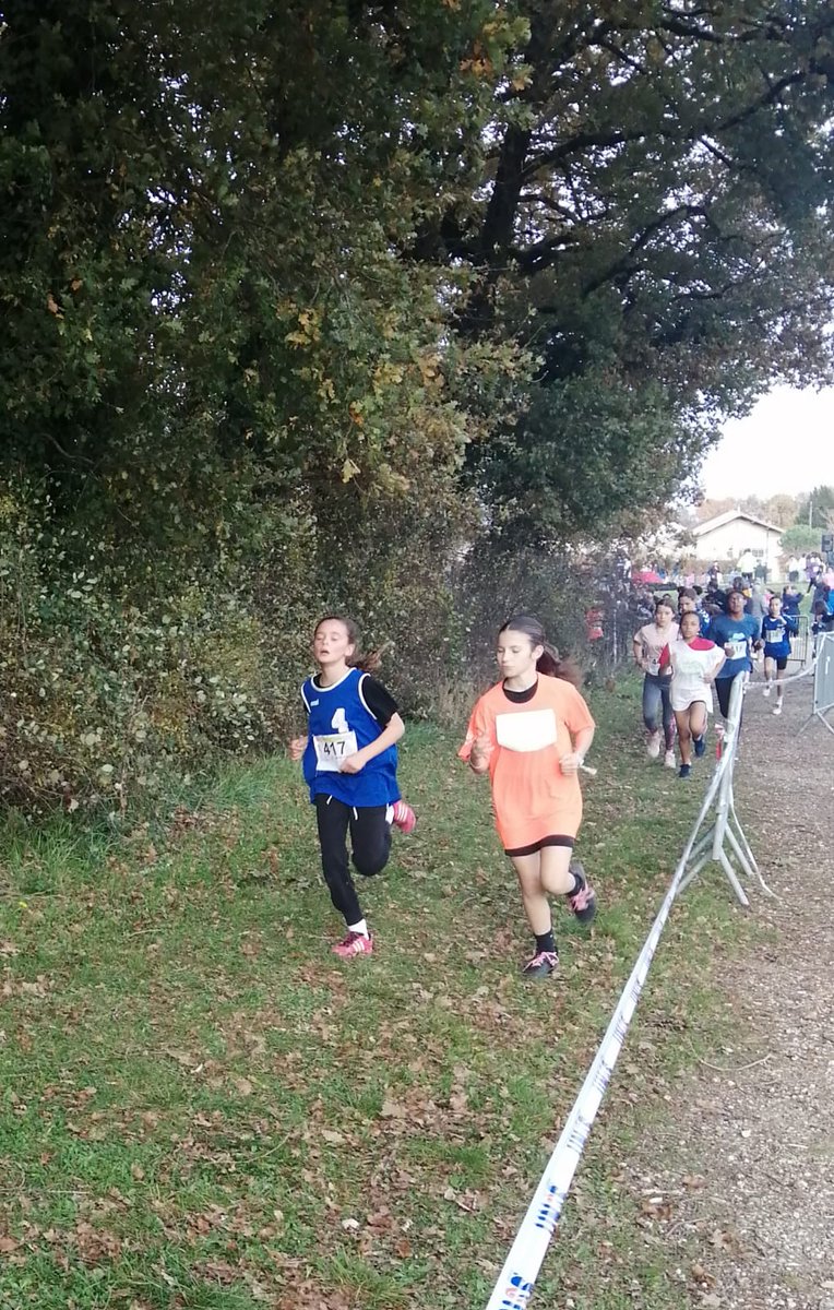 👏Félicitations aux 7 élèves du collège qui ont brillamment représenté le collège au cross🏃‍♂️🏃‍♀️ départemental UNSS aujourd'hui. Mention speciale à Victor qui termine 1er en benjamins 🥇