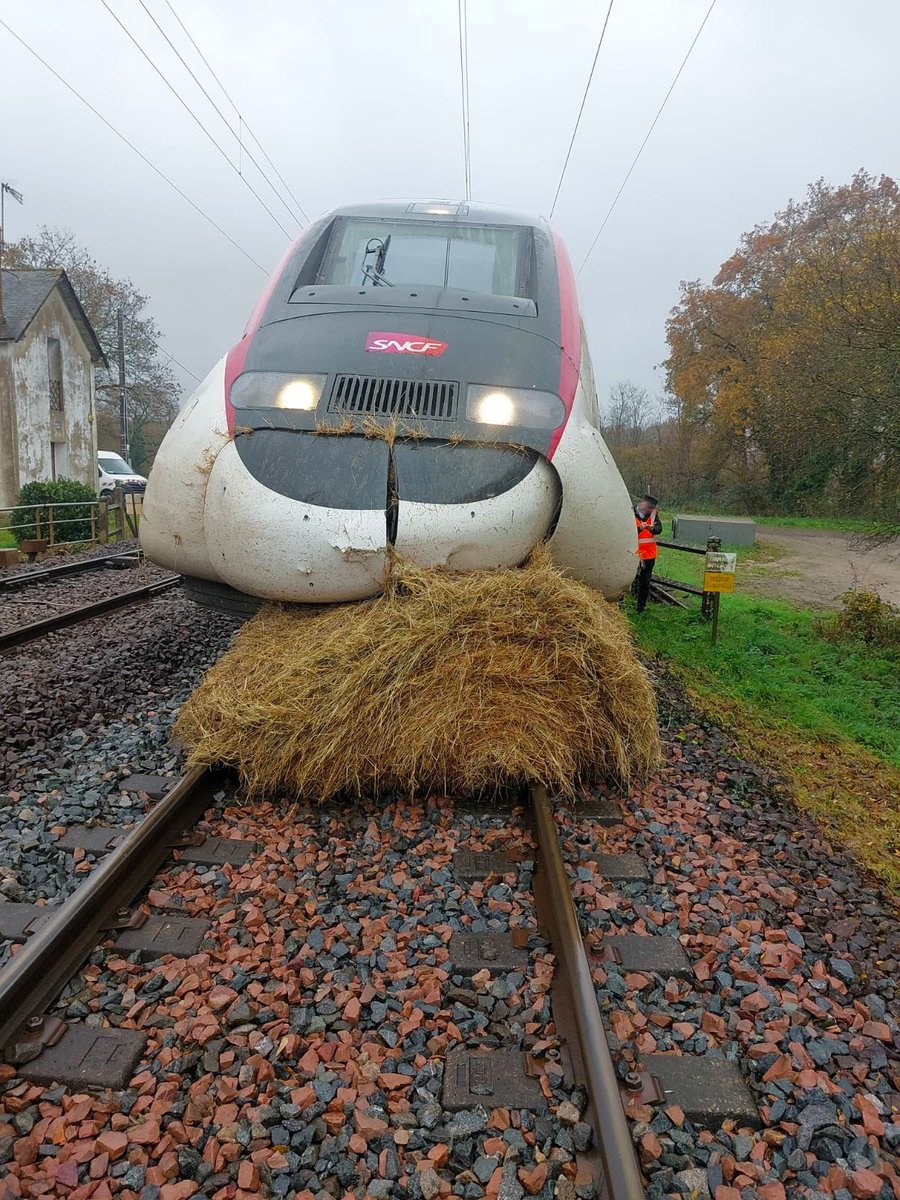 Philippe_Peray's tweet photo. Développement durable : premier TGV herbivore en test ce jour chez moi. https://t.co/2jihDDoC7y