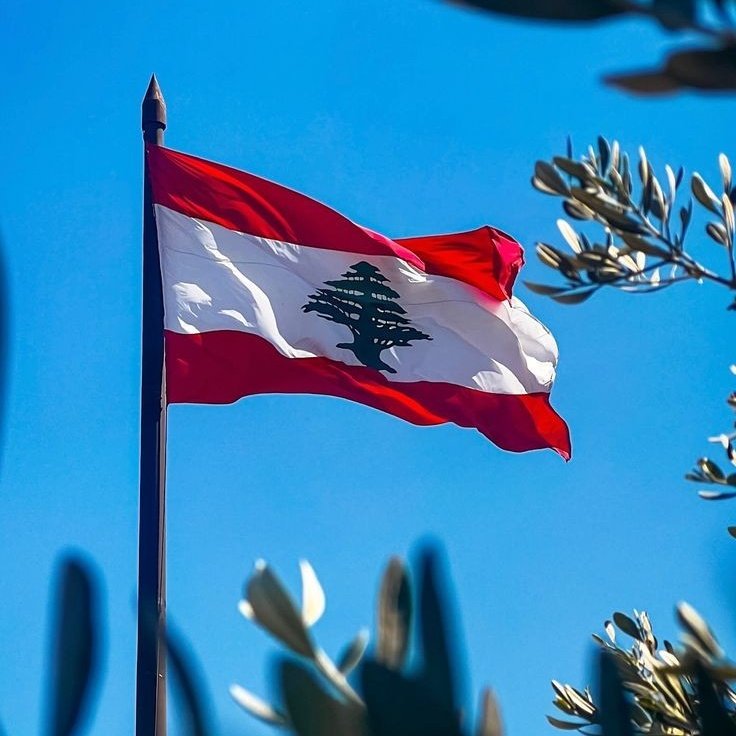 #NewProfilePic رغم كل شي دايما حتبقى يا علمي مرفوع🇱🇧❤️🙏