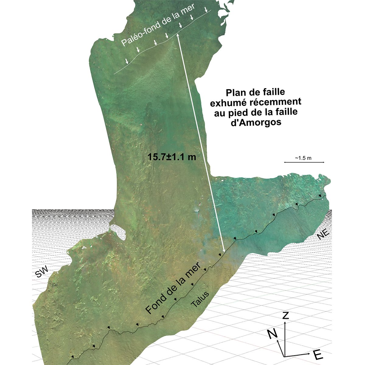 IPGP_officiel's tweet photo. #RésultatScientifique 🔎
Une équipe internationale composée de chercheurs @IPGP_officiel vient de découvrir la rupture sous-marine qui a provoqué le plus important tsunami moderne en Méditerranée ! 🌊😱
➡️ A lire ici : https://t.co/H2RyEvCFjz https://t.co/MV5PE0IOl4
