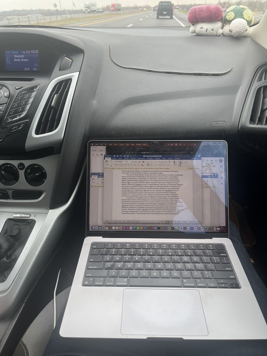 Katie MacGillivray tweet media