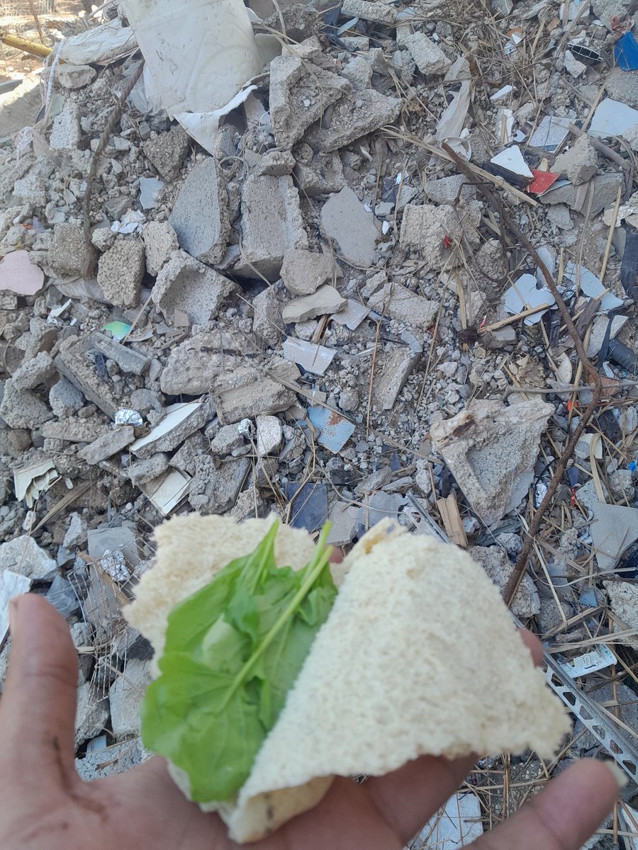 wrashwan51's tweet photo. This is my food today 💔💔
Help me, my brothers, I trust you and do not let me down Please donate
Here is the donation link 👇
GFM: 🙏
https://t.co/KTHS9Z546d
pp: 🙏🙏
https://t.co/4euVZd1iJD https://t.co/GYoouu3jzA