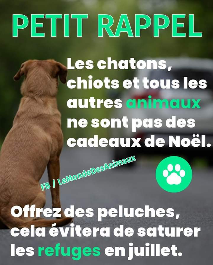 AdeaClaude's tweet photo. https://t.co/F5VwgBfJpU