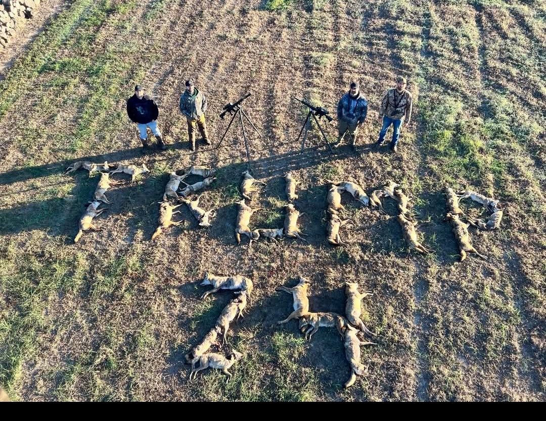 Christina tweet media