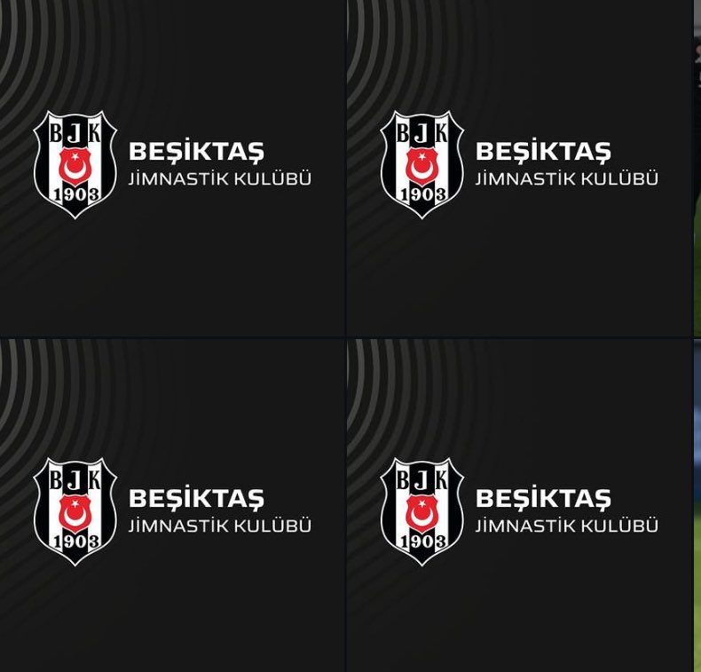Beşiktaş kasım dump