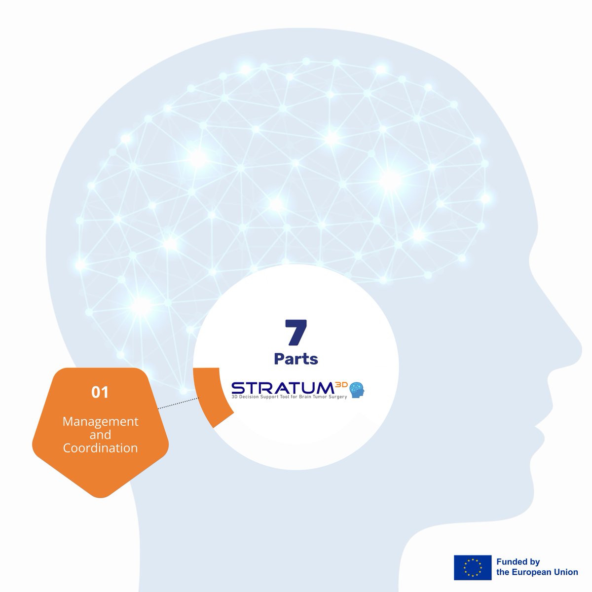 stratum_eu's tweet photo. 𝗣𝗮𝗿𝘁 𝟭, led by @ULPGC, uses a collaborative management approach to actively engage all participants in planning and control processes through information and communication tools. This phase covers the entire duration of the project.

#STRATUMEU #EUfunded #EUCancerMission https://t.co/8A62FRcgf2