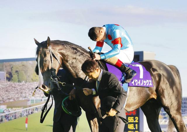 yziILGbmUA4yYK8's tweet image. ●ブラストワンピース馬主　シルクレーシング
GⅠ9勝の名牝アーモンドアイ

GⅠ6連勝の天才イクイノックス

春秋マイル統一のインディチャンプ

3戦無敗で朝日杯FSを制したサリオス

有馬記念勝馬でシルクレーシング初のGⅠ馬シルクジャスティス
等の名馬！

#ウマ娘　#ぱかライブTV
#シルクレーシング