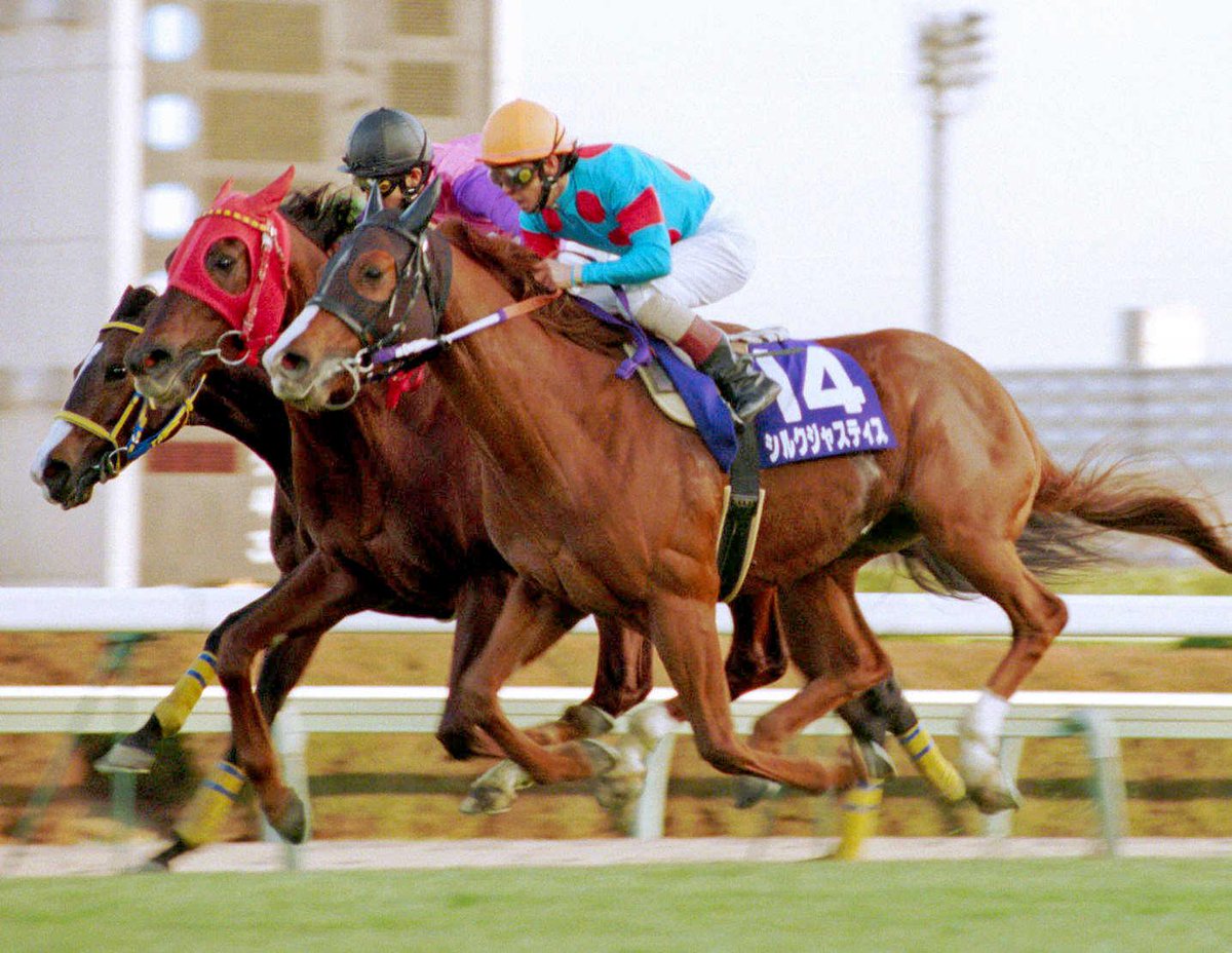 yziILGbmUA4yYK8's tweet image. ●ブラストワンピース馬主　シルクレーシング
GⅠ9勝の名牝アーモンドアイ

GⅠ6連勝の天才イクイノックス

春秋マイル統一のインディチャンプ

3戦無敗で朝日杯FSを制したサリオス

有馬記念勝馬でシルクレーシング初のGⅠ馬シルクジャスティス
等の名馬！

#ウマ娘　#ぱかライブTV
#シルクレーシング