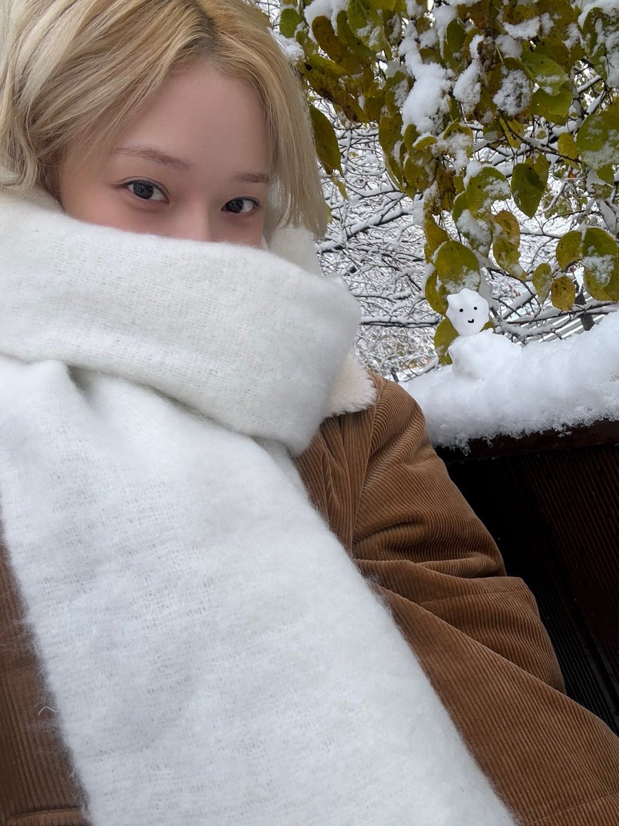 archivedwinter's tweet image. ⭐️💭